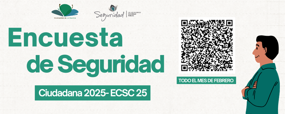 encuestaseguridad