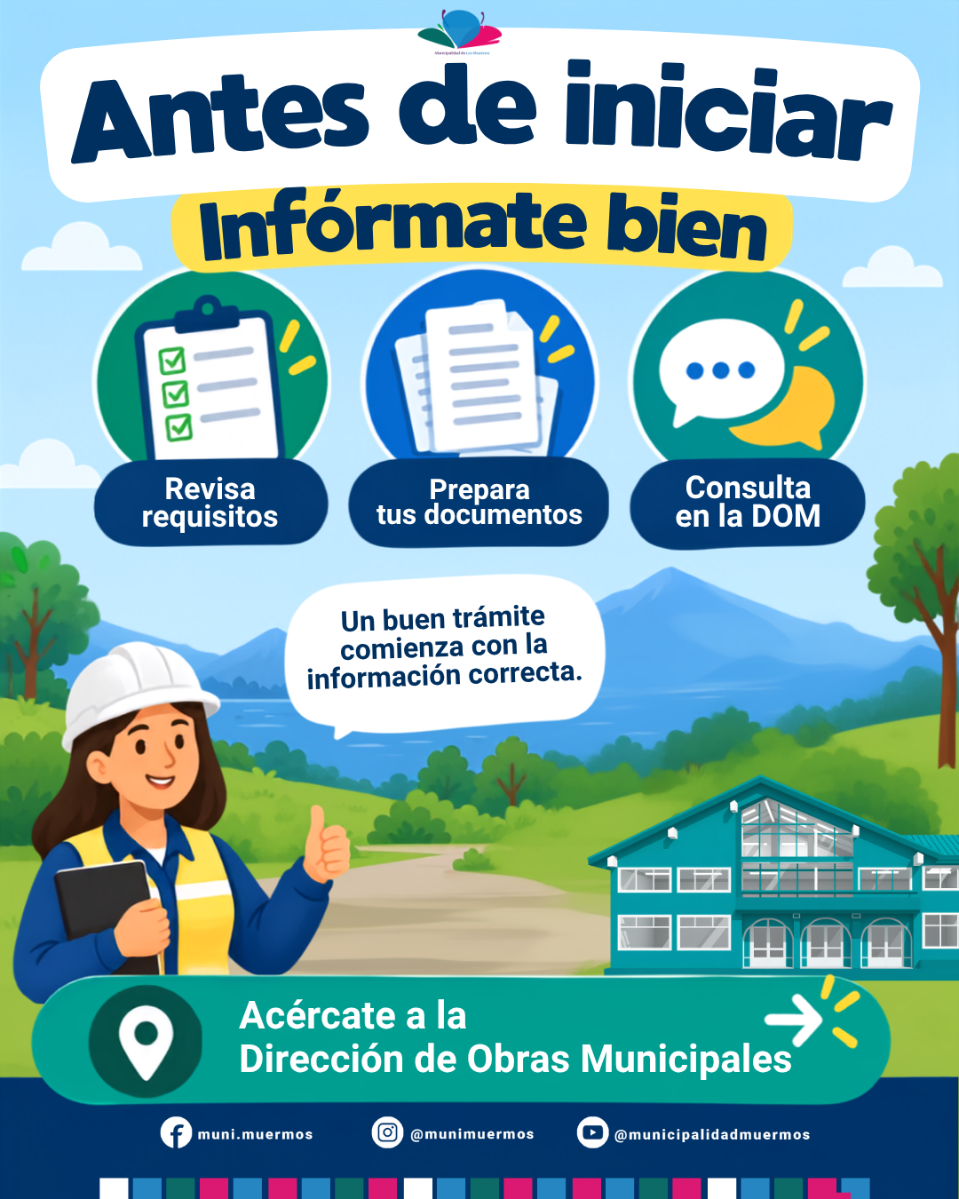 Gráfica 5